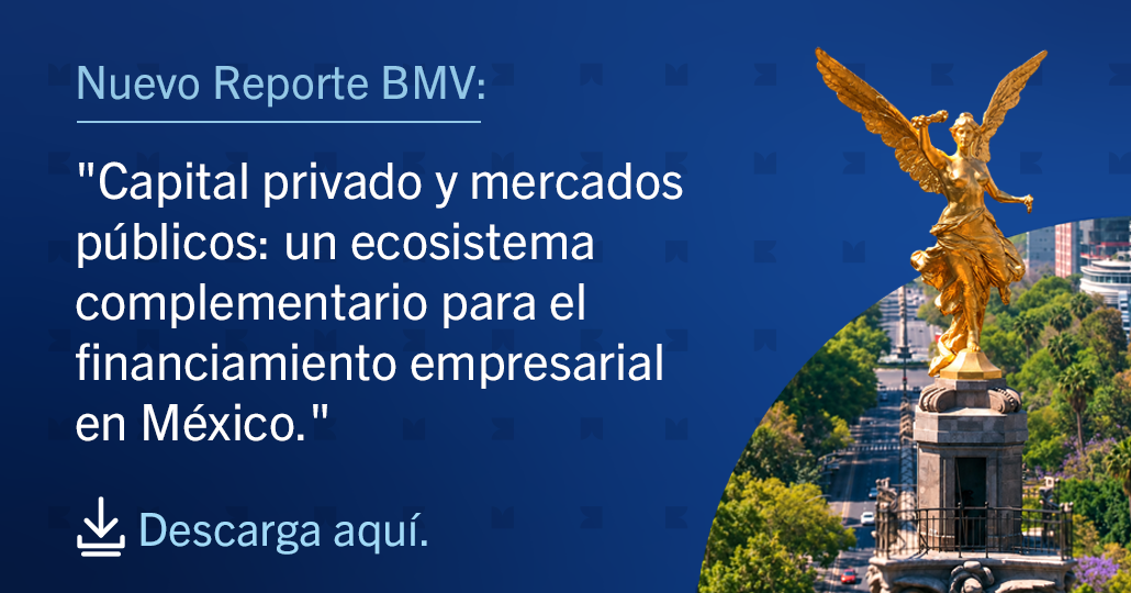 NUEVO REPORTE BMV